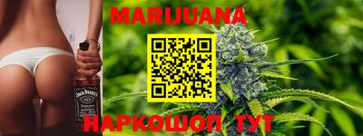 индика Анжеро-Судженск