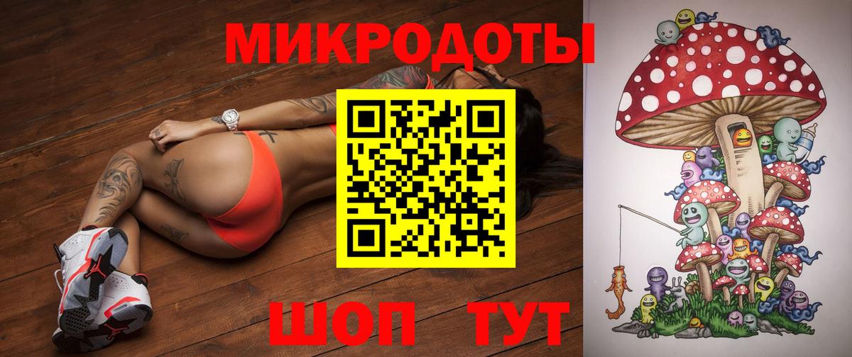 Галлюциногенные грибы Psilocybe Артёмовский