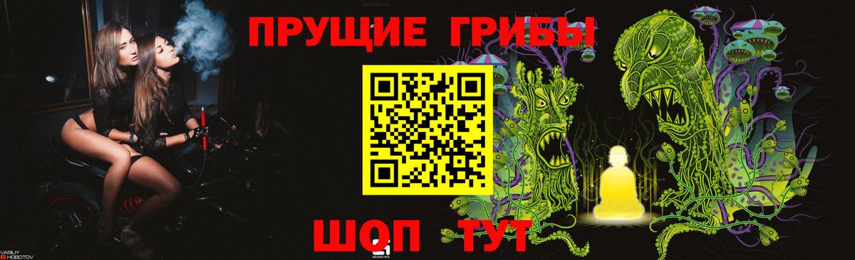 Галлюциногенные грибы Psilocybe  Вход с VPN  Артёмовский 